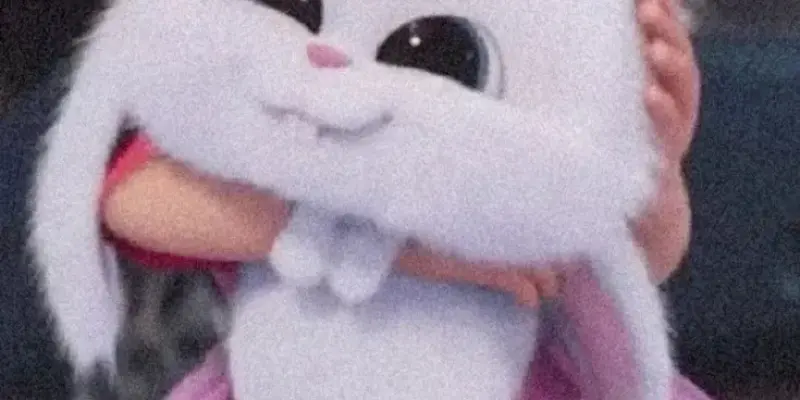 Khám phá những bức ảnh thỏ snowball chất lượng cao tuyệt vời