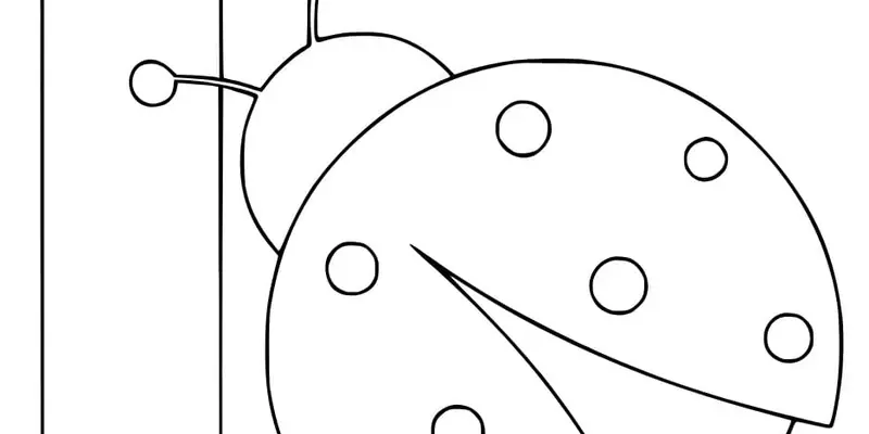 Tranh tô màu bọ rùa đáng yêu giúp bé sáng tạo mỗi ngày