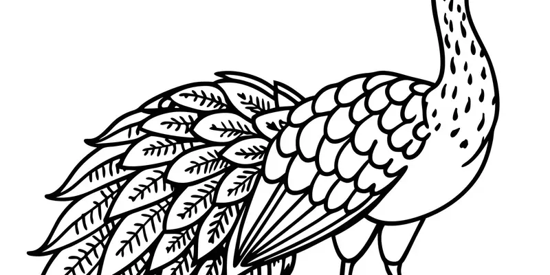 Khám phá tranh tô màu con công siêu đẹp dành cho bé yêu