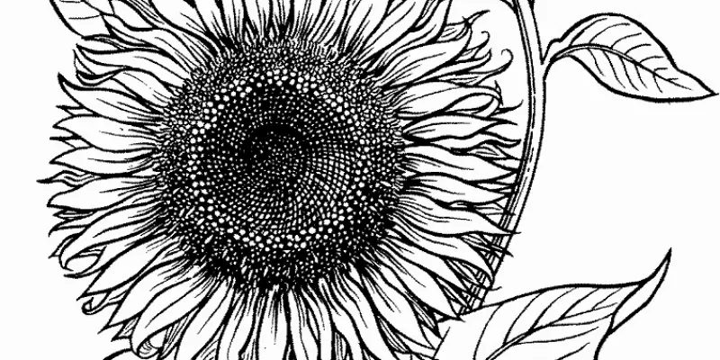 Bộ sưu tập 30+ tranh tô màu bông hoa hướng dương giúp bé phát triển trí não