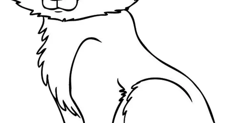 Bộ sưu tập tranh tô màu con cáo siêu đáng yêu giúp bé rèn luyện tư duy