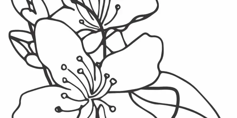 Tổng hợp 30+ mẫu tranh tô màu bông hoa mai ngày Tết cho bé