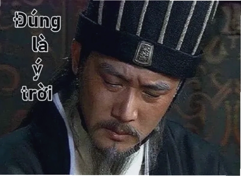 Lý do ảnh ý trời meme viral trên mạng xã hội