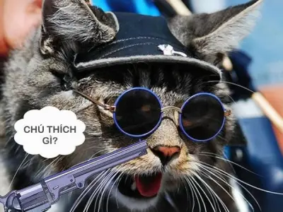 Bộ ảnh meme hài hước khó đỡ hot nhất mạng xã hội hiện nay