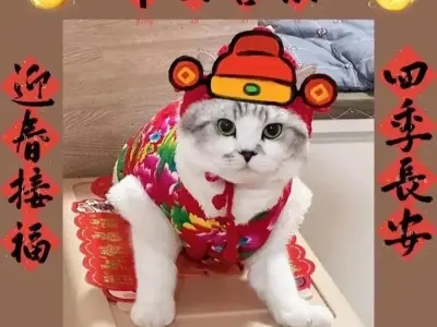 Bộ sưu tập avatar tết meme vui nhộn đón năm mới rộn ràng