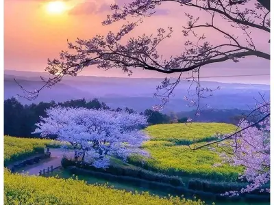 Top avatar thiên nhiên đẹp nhất để thay đổi diện mạo