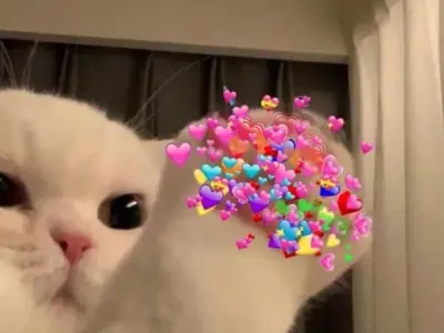 Bắn tim meme dễ thương giúp ngày mới tràn đầy năng lượng
