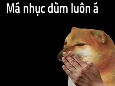 Cười nghiêng ngả với loạt con chó meme cực bá đạo