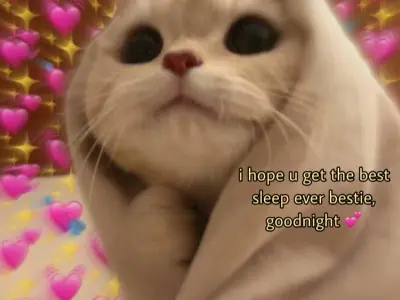 Cười ngất với loạt cute meme dễ thương siêu vui nhộn