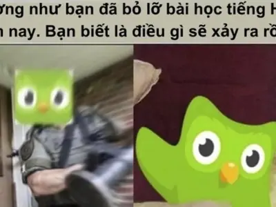 Bộ sưu tập Duolingo meme bá đạo gây sốt khắp mạng xã hội