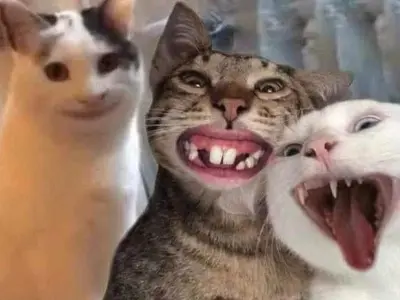 Cười nghiêng ngả với loạt haha meme vui nhộn cực bá đạo