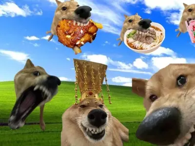 Cười nghiêng ngả với loạt hình nền máy tính meme siêu hài