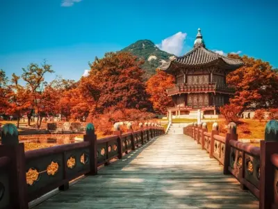 Khám phá bộ sưu tập hình nền phong cảnh đẹp miễn phí