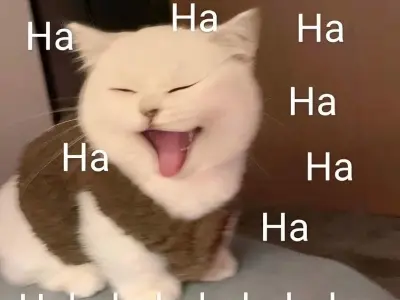 Bộ sưu tập meme ảnh cực hài khiến ai xem cũng bật cười