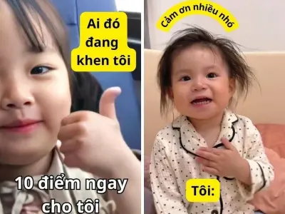 Bộ sưu tập meme cảm ơn hài hước khiến người xem thích thú