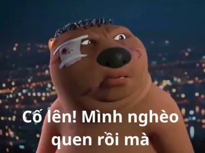Bộ sưu tập meme cố lên truyền động lực vui nhộn mỗi ngày