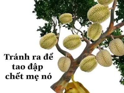 Cười ngất với loạt bắn meme đấm nhau siêu hài hước nhất