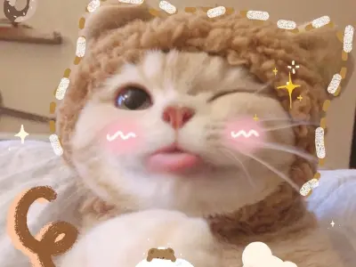 Bộ sưu tập meme đáng yêu khiến ai cũng phải mỉm cười
