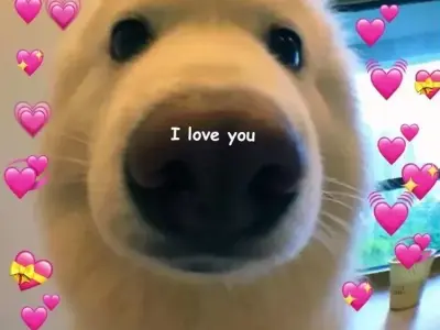 Meme dỗ người yêu hài hước khiến ai xem cũng tan chảy