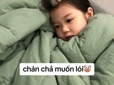 Meme em bé dễ thương khiến cộng đồng mạng cười ngất