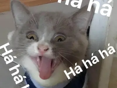 Meme haha vui nhộn khiến người xem không thể nhịn cười