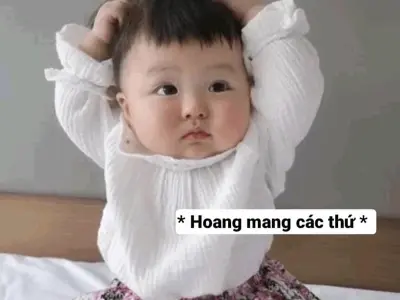 Những meme hoang mang viral nhất khiến cộng đồng phát sốt