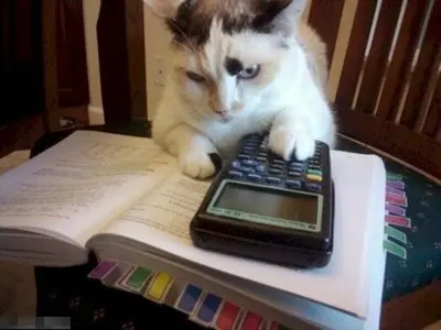 Cười nghiêng ngả với loạt meme học bài cực chân thật