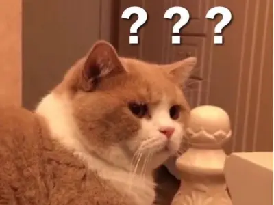 Bộ sưu tập meme hỏi chấm ngộ nghĩnh được yêu thích nhất