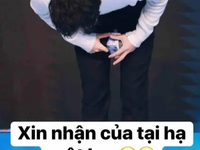 Bộ sưu tập meme lạy hài hước khiến ai cũng bật cười