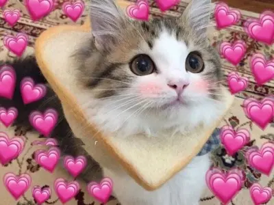Meme love ngọt ngào hài hước khiến dân mạng phát sốt