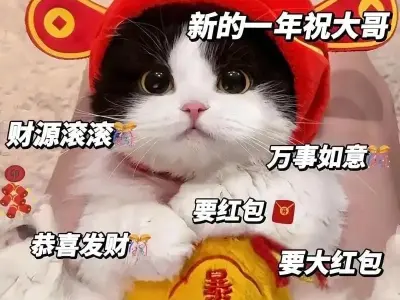 Những meme mèo tết vui nhộn nhất mạng xã hội hiện nay