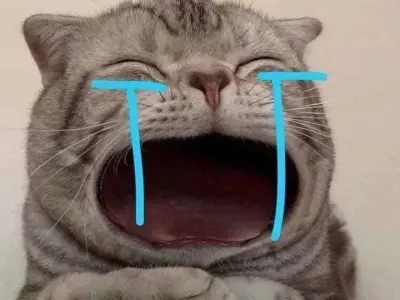 Tổng hợp meme mèo hài hước khiến bạn cười sảng khoái