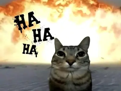 Bộ sưu tập meme mèo cực hài khiến ai xem cũng bật cười