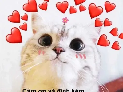 Meme tình yêu chế bá đạo thể hiện cảm xúc cực duyên dáng