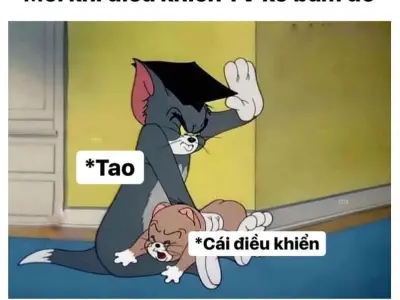 Bộ sưu tập meme Tom cực hài khiến ai xem cũng bật cười