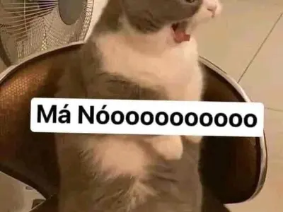 Tuyển chọn meme tức hot trend khiến dân mạng thích thú