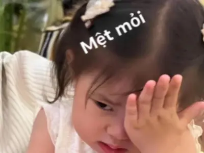 Tổng hợp meme xỉu hài hước khiến dân mạng cười ngất