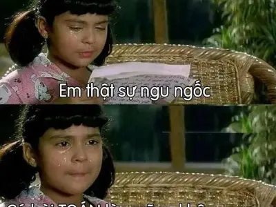Những ngu meme chế bá đạo hot nhất mạng xã hội hiện nay