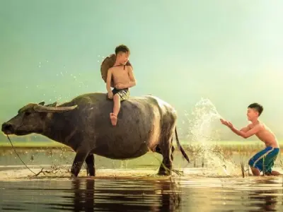 Khám phá bộ sưu tập ảnh phong cảnh bình yên tuyệt đẹp