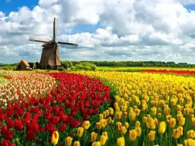 Khám phá vẻ đẹp tự nhiên với ảnh phong cảnh hoa cỏ tuyệt vời