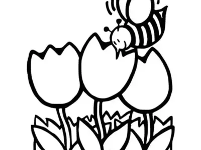 Khám phá tranh tô màu hoa tulip đẹp mê hoặc bé yêu