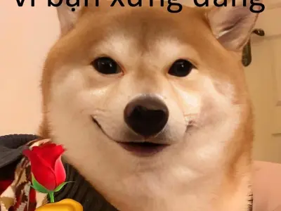 Tuyển chọn vì bạn xứng đáng meme hot trend được yêu thích