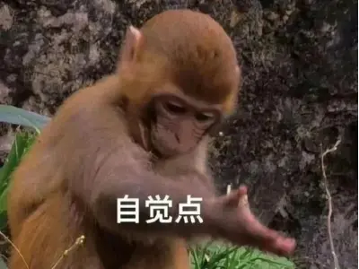 Top ảnh con khỉ meme hài hước khiến dân mạng cười ngất