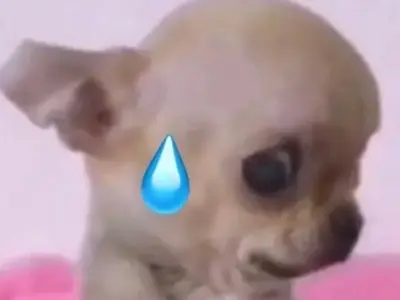 Khám phá meme đổ mồ hôi biểu cảm hài hước đang viral