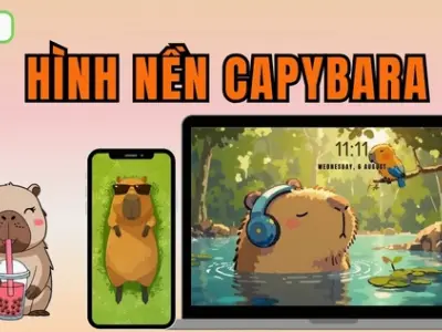 Bộ sưu tập hình nền capybara cute chibi siêu vô tri dễ thương