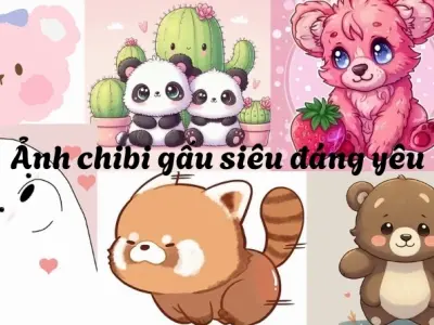 Tuyển tập 30 ảnh gấu trắng cute chibi đẹp ngất ngây năm 2026
