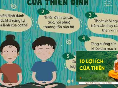 Giải đáp chi tiết câu hỏi về lợi ích của thiền định năm 2026
