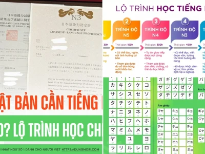 Du học nhật bản ngành ngôn ngữ tiếng Nhật cho người mới bắt đầu